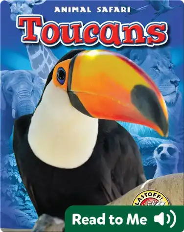 Toucans book