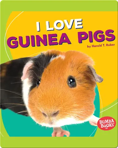 I Love Guinea Pigs book