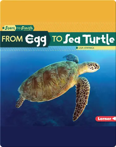From Egg to Sea Turtle book