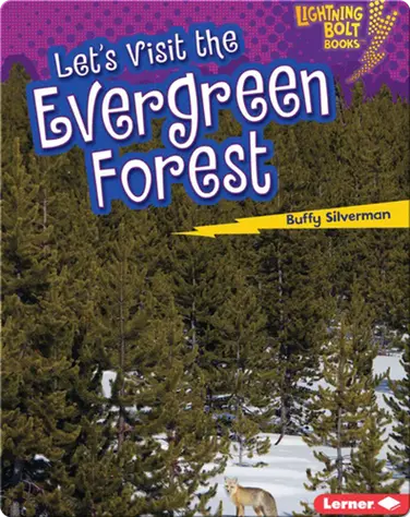 Let's Visit the Evergreen Forests book