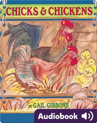 Chicks and Chickens book