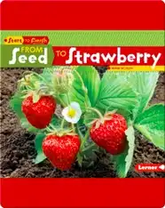 From Seed to Strawberry