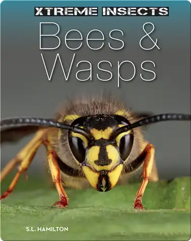 Bees & Wasps book