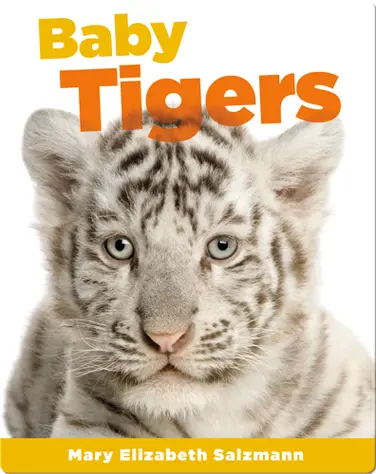 Baby Tigers book