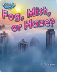 Fog, Mist, or Haze?