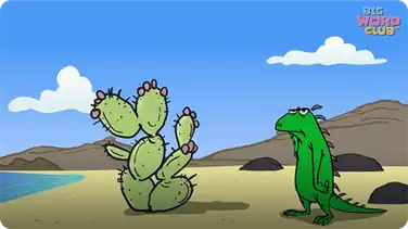 Iguana Song book