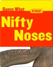 Nifty Noses