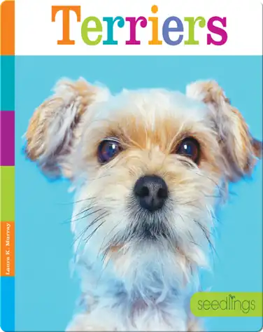 Terriers book