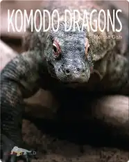 Komodo Dragons