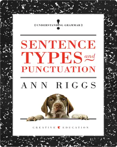 Sentence Types and Punctuation book