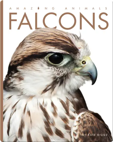 Falcons book