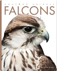 Falcons