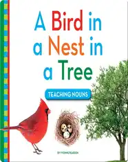 A Bird in a Nest in a Tree: Teaching Nouns