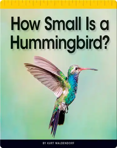 How Small Is a Hummingbird? book