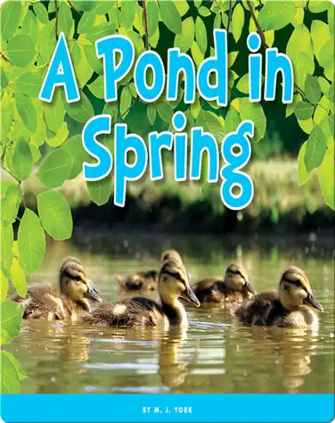 A Pond in Spring book