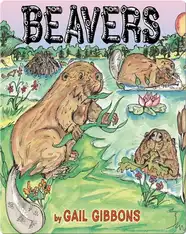 Beavers