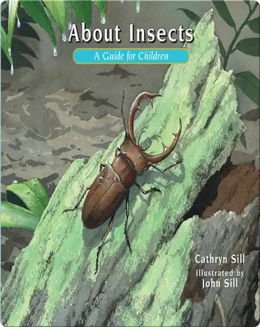 About Insects book