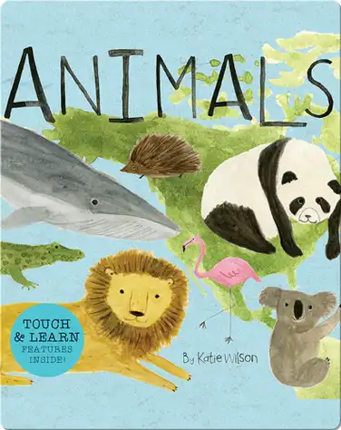 Animals book