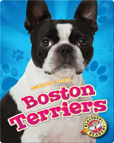 Awesome Dogs: Boston Terriers book