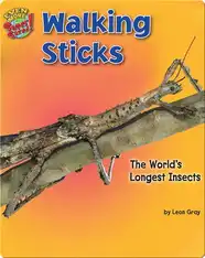 Walking Sticks