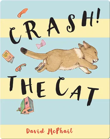 Crash! The Cat book