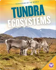 Tundra Ecosystems