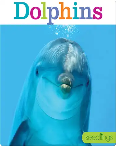 Dolphins book