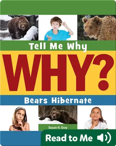 Bears Hibernate book