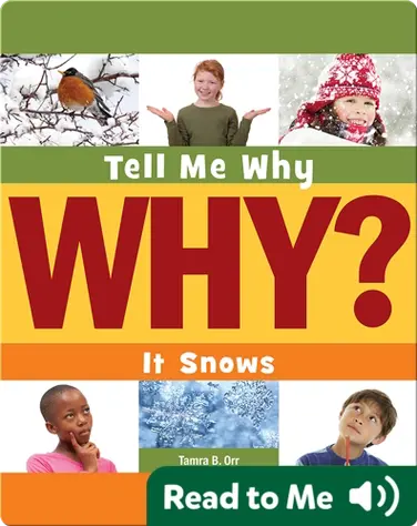 It Snows book