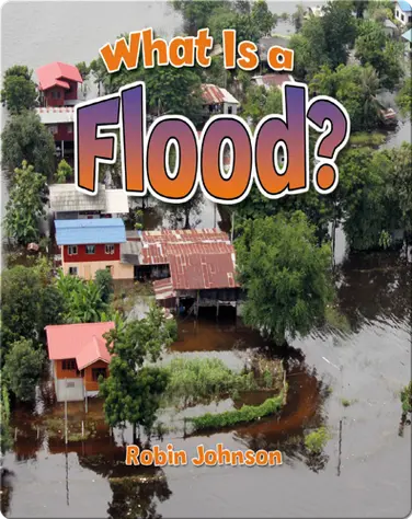 What Is a Flood? book
