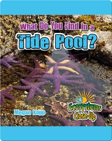What Do You Find in a Tide Pool? book