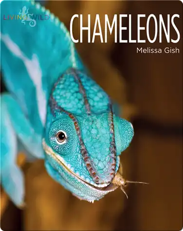 Chameleons book