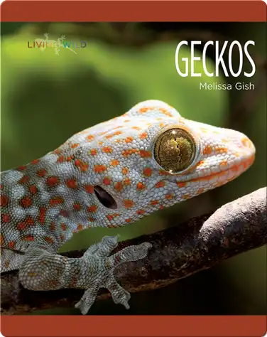 Geckos book