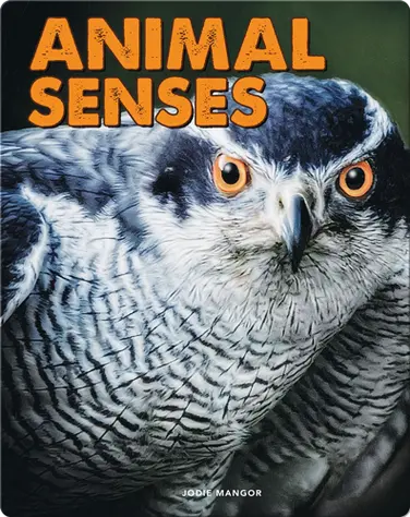 Animal Senses book