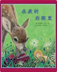 在我的后院里