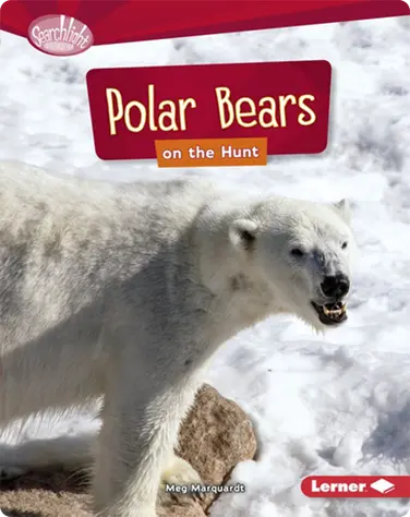 Polar Bears on the Hunt book