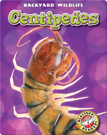 Backyard Wildlife: Centipedes book