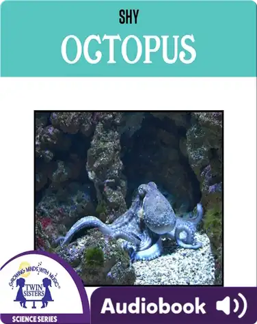 Shy Octopus book