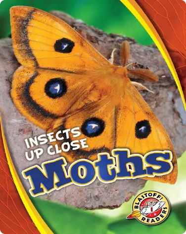 Insects Up Close: Moths book