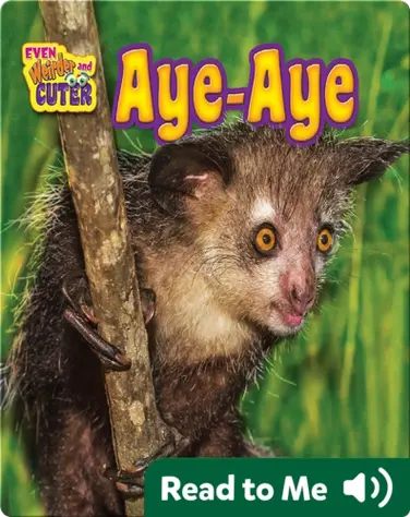 Aye-Aye book
