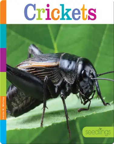 Crickets book