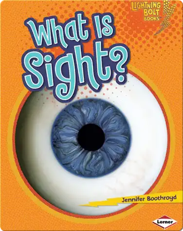 What Is Sight? book