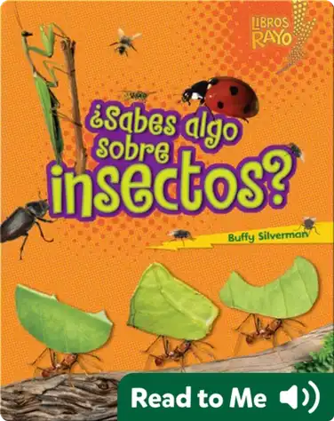 ¿Sabes algo sobre insectos? (Do You Know about Insects?) book