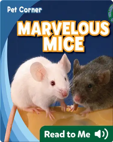 Marvelous Mice book