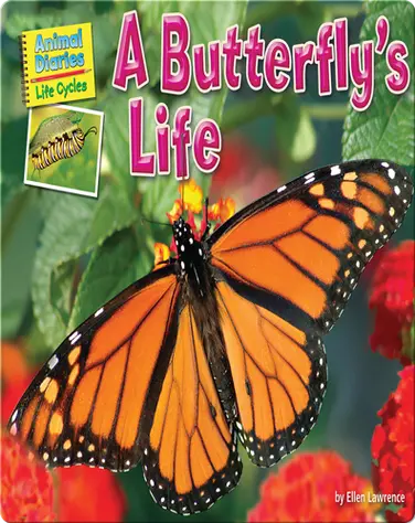 A Butterfly's Life book