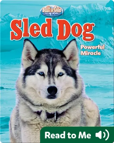 Sled Dog: Powerful Miracle book