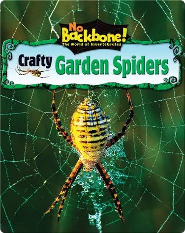 Crafty Garden Spiders book