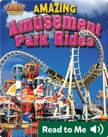 Amazing Amusement Park Rides book