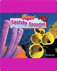 Squishy Sponges