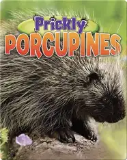 Prickly Porcupines